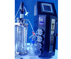 Glass Fermenter