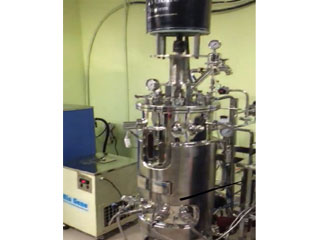 Pilot Scale fermenter
