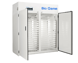 Seed Germinator