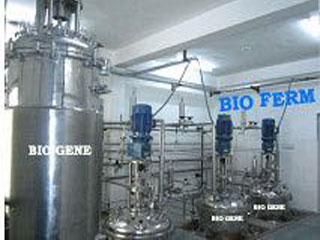 Large Industrial Fermenter